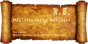 Müllerleily Bálint névjegykártya